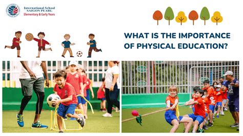 Importance of Physical Education (500 Words) .